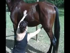 Horse shlong is being engulfed by lovely, supple white women.